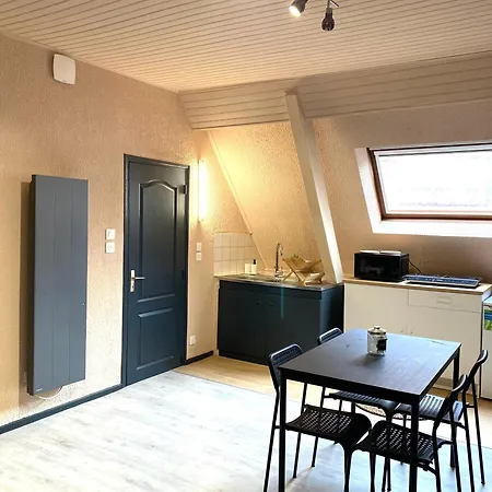 Le Duplex Appartement Soultz-Haut-Rhin